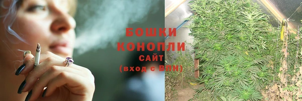 индика Ижевск