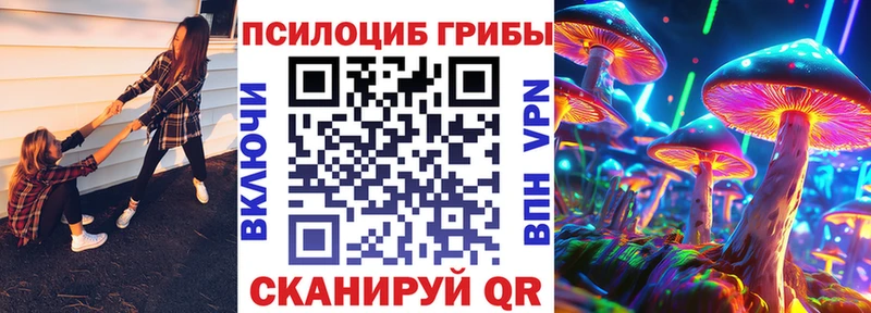 маркетплейс клад  Новотроицк  blacksprut ONION  Галлюциногенные грибы мицелий  дарнет шоп 